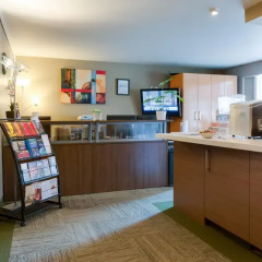 Отель NUVO Hotel Suites Канада, Калгари - отзывы, цены и фото номеров - забронировать отель NUVO Hotel Suites онлайн питание