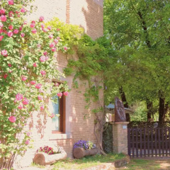 Отель B&B I Prati di Varmo Стандартный номер фото 6