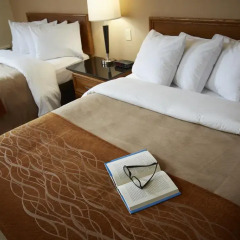 Отель Comfort Inn Brossard 2* Стандартный номер с различными типами кроватей фото 4