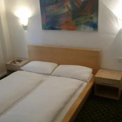 Отель Hotelgarni Frankfurt Стандартный номер с различными типами кроватей фото 10