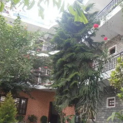 Отель The Third Eye Inn Непал, Покхара - отзывы, цены и фото номеров - забронировать отель The Third Eye Inn онлайн фото 5
