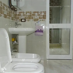 Отель Central Apartments Shoshi Албания, Тирана - отзывы, цены и фото номеров - забронировать отель Central Apartments Shoshi онлайн ванная