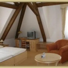 Hotel Zlaty Lev 4* Люкс фото 14