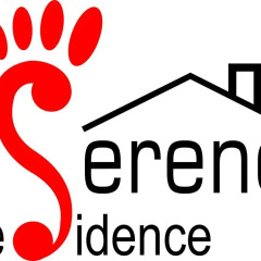 Отель Serene Residence интерьер отеля фото 2
