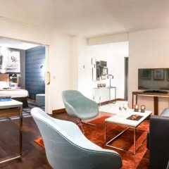 Radisson Blu Royal Hotel Brussels 4* Стандартный номер с двуспальной кроватью фото 4