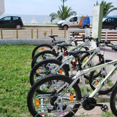 Отель Eco Green Living Ситония спортивное сооружение