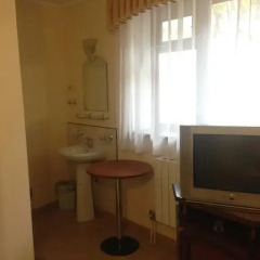 Мини-отель Фламинго 3* Номер Эконом с разными типами кроватей фото 20