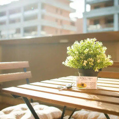 Отель Domus BB Plaza Guest House питание