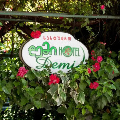 Hotel DEMI