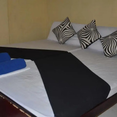 Отель Lake View The Tourist Guest House спа