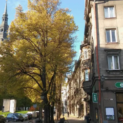 Апартаменты Old Town Studio Apartment Студия с разными типами кроватей фото 3