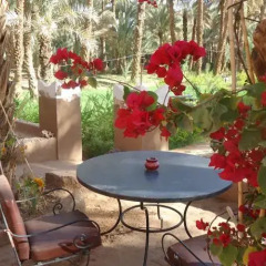 Отель Riad Tagmadart Ferme D'hôte Марокко, Загора - отзывы, цены и фото номеров - забронировать отель Riad Tagmadart Ferme D'hôte онлайн фото 8