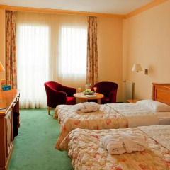 Отель Danubius Health Spa Resort Butterfly 4* Стандартный номер с двуспальной кроватью
