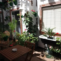 Отель Apartamentos Jerez Centro Испания, Херес-де-ла-Фронтера - отзывы, цены и фото номеров - забронировать отель Apartamentos Jerez Centro онлайн фото 3