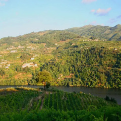 Douro Palace Hotel Resort and Spa 4* Стандартный номер разные типы кроватей