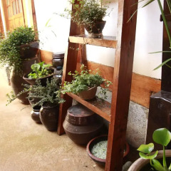 Отель Mumum Hanok Guesthouse