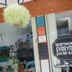Отель Sleep Sheep Phuket Hostel Таиланд, Пхукет - отзывы, цены и фото номеров - забронировать отель Sleep Sheep Phuket Hostel онлайн гостиничный бар