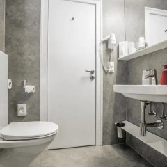 Hotel Waldhorn 3* Номер Бизнес с различными типами кроватей фото 9