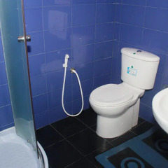 Отель Blue Elephant Guest House 3* Стандартный номер с различными типами кроватей фото 9