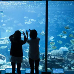 Hotel & Resorts WAKAYAMA-KUSHIMOTO Кусимото фитнесс-зал