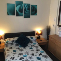 Springfield Hotel 2* Стандартный номер с различными типами кроватей фото 3