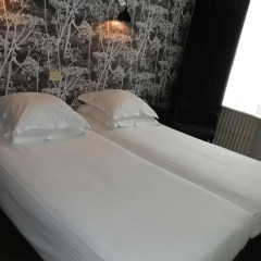 Hotel Queen Anne 3* Стандартный номер с двуспальной кроватью