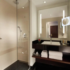 Radisson Blu Royal Hotel Brussels 4* Стандартный номер с разными типами кроватей фото 3