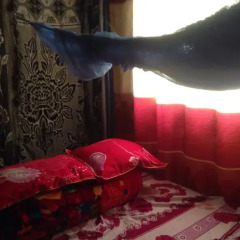 Отель Dang Phung Homestay Шапа спа