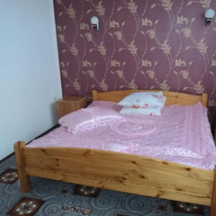 Гостиница Guest House Nika Апартаменты с двуспальной кроватью фото 47