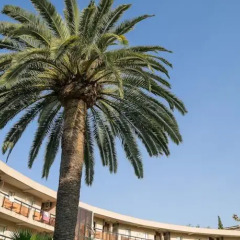 Отель Residence Nice Les Palmiers фото 18