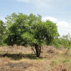 Отель Ranmini Guest парковка