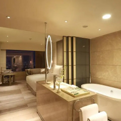 Hotel Nikko Saigon 5* Номер Делюкс с различными типами кроватей фото 3
