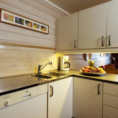 Birkebeineren Hotel & Apartments 3* Апартаменты с различными типами кроватей фото 26