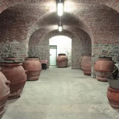 Отель Agriturismo I Bonsi Реггелло развлечения