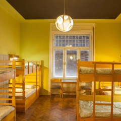 Treestyle Hostel Кровать в общем номере