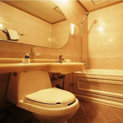 Liz Hotel ванная