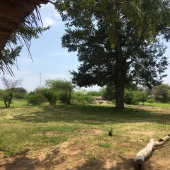 Отель Yakaduru Safari Village Yala 2* Шале с различными типами кроватей фото 5