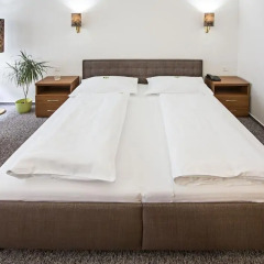 Отель RADNICE 4* Апартаменты фото 2