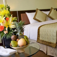ParkView Hotel 4* Семейный полулюкс с двуспальной кроватью фото 8
