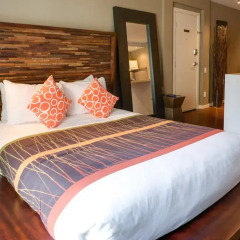 Отель NUVO Hotel Suites Канада, Калгари - отзывы, цены и фото номеров - забронировать отель NUVO Hotel Suites онлайн комната для гостей фото 3