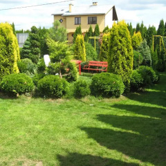 Гостиница The Cottage Апартаменты разные типы кроватей фото 33