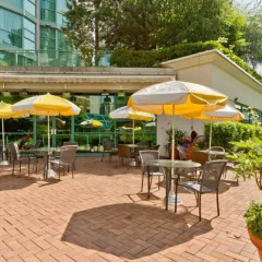 Отель Rosedale On Robson Suite Hotel Канада, Ванкувер - отзывы, цены и фото номеров - забронировать отель Rosedale On Robson Suite Hotel онлайн фото 6