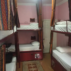 Big Apple Hostel & Hotel Кровать в общем номере с двухъярусной кроватью фото 8