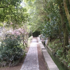 Отель Quinta da Mó Фурнаш фото 15