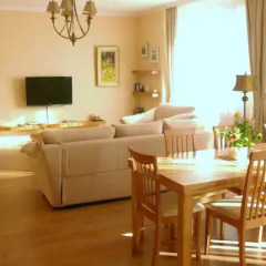 Гостиница Irish Apartments in Kharkov Украина, Харьков - отзывы, цены и фото номеров - забронировать гостиницу Irish Apartments in Kharkov онлайн комната для гостей фото 4