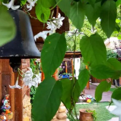 Отель Apart Cabañas Oasis del Valle Вилья Кура Брочеро помещение для мероприятий фото 2