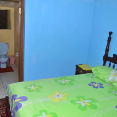 Отель Little Shaw Park Guest House 2* Стандартный номер с различными типами кроватей фото 9