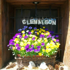 Отель B&B CleMaison Antica Dimora Стандартный номер