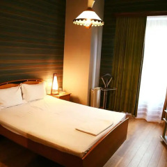 Argo Palace Hotel комната для гостей фото 2