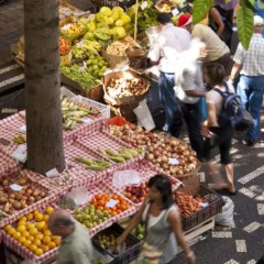 Отель Bela Sao Tiago 1.11